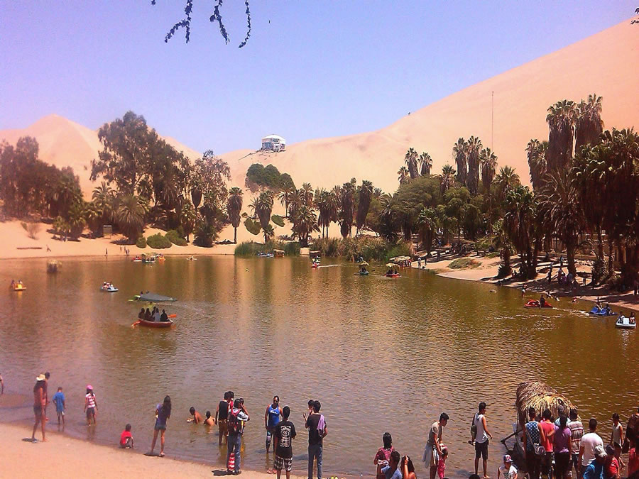 5.- ICA  MUSEO  y  OASIS  HUACACHINA