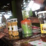 excursion-lunahuana-10