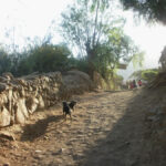 excursion-lunahuana-8