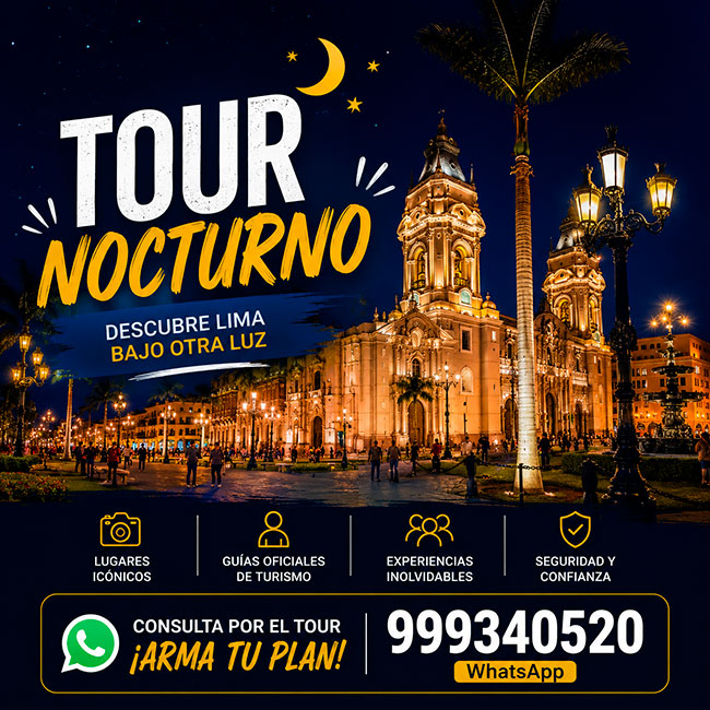 flyer-tour-de-noche-home